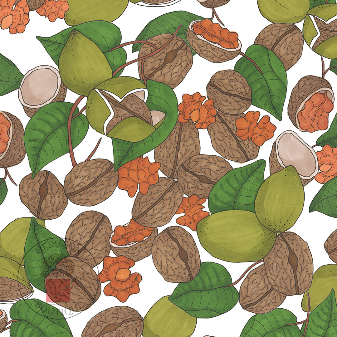 Housse de Coussin 50x50 | Cushion Cover 50x50