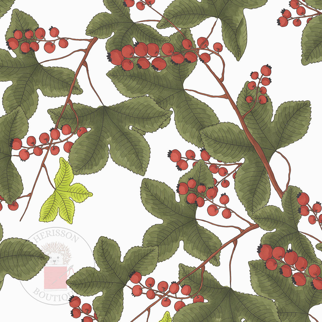 Housse de Coussin 50x50 | Cushion Cover 50x50