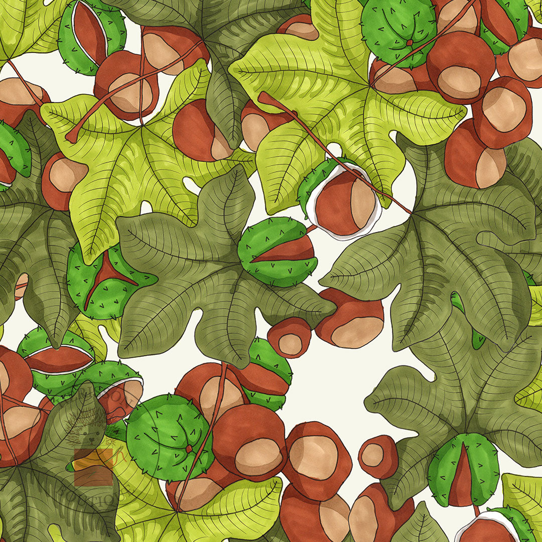 Housse de Coussin 50x50 | Cushion Cover 50x50