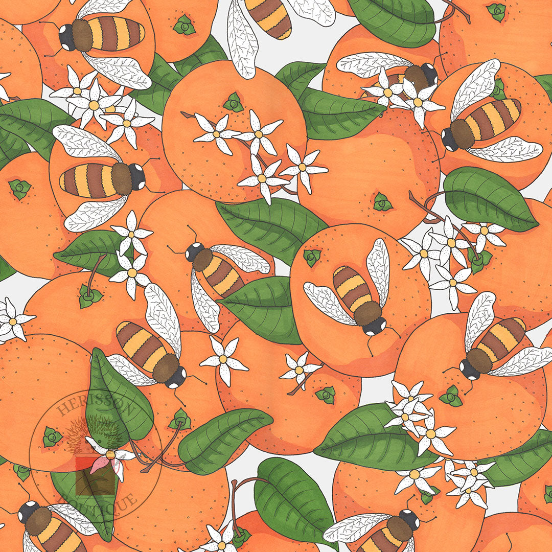 Housse de Coussin 50x50 | Cushion Cover 50x50